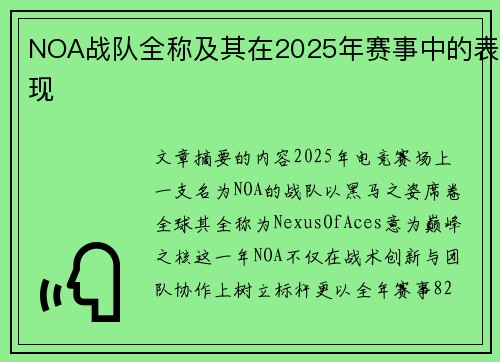 NOA战队全称及其在2025年赛事中的表现
